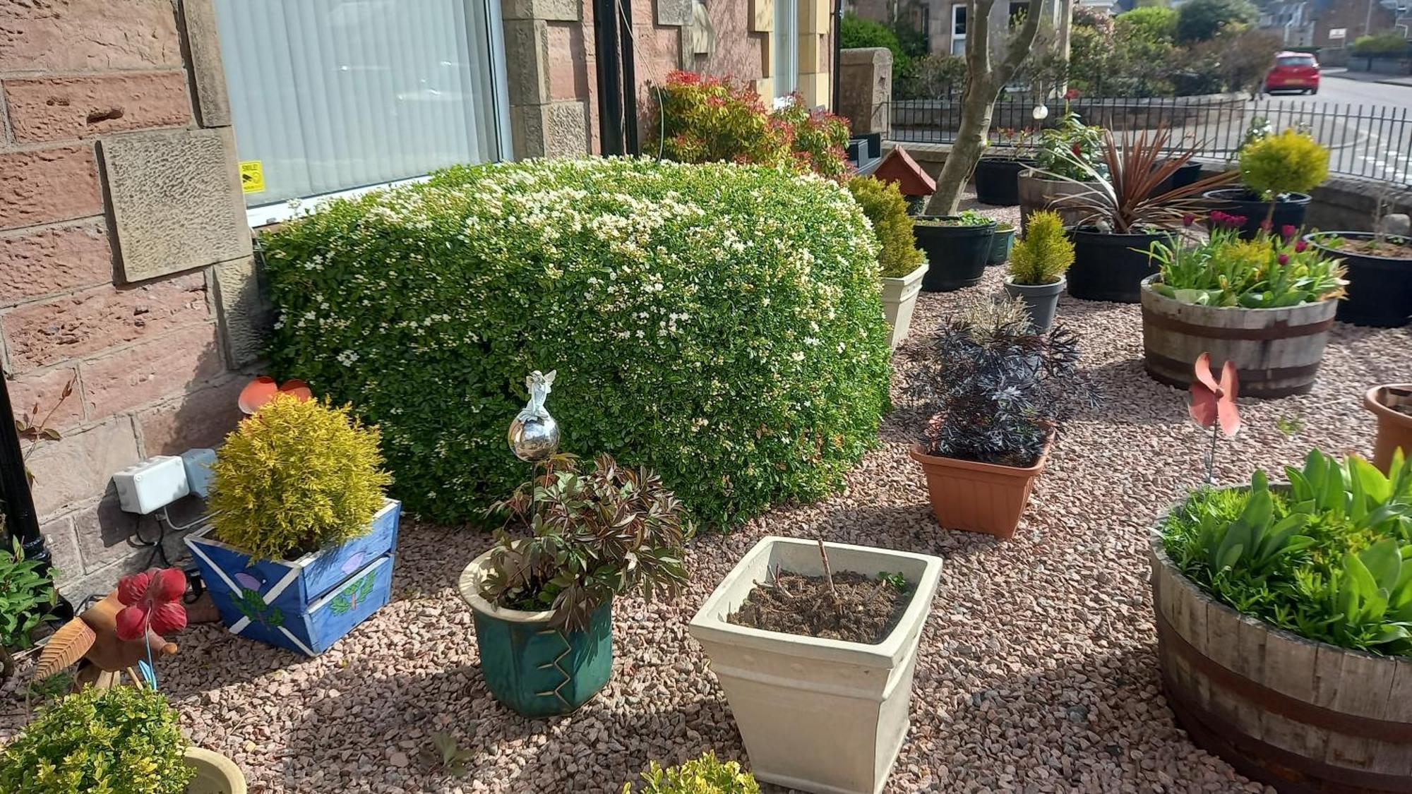 Fairfield Townhouse Gasthof